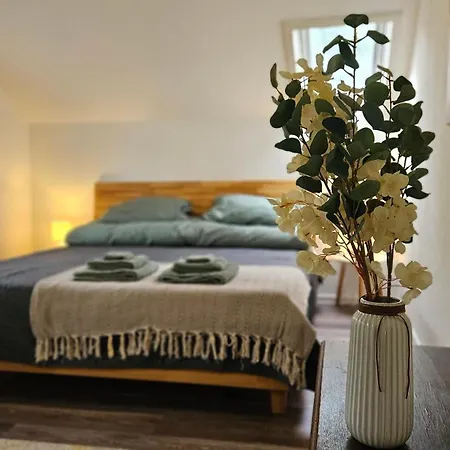 Apartment Am Stadtpark #2, 2br, 109m2, Parkplatz *