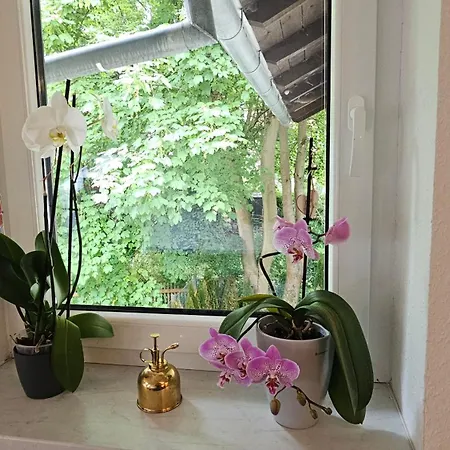 Apartment Am Stadtpark #2, 2br, 109m2, Parkplatz